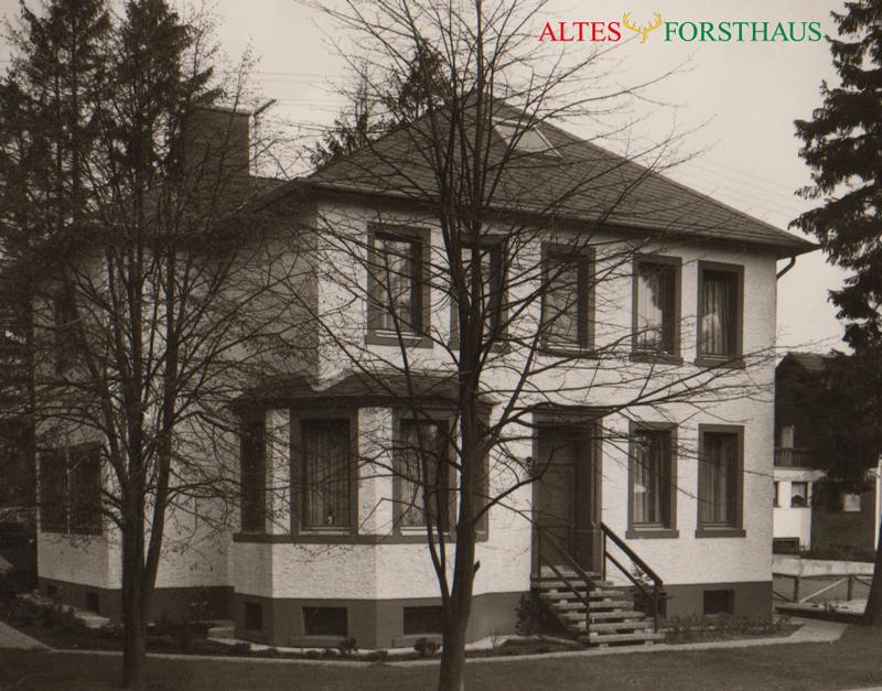 Altes Forsthaus Bed & Breakfast Manderscheid Exterior photo